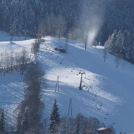 Schaubensteiner 公寓 *