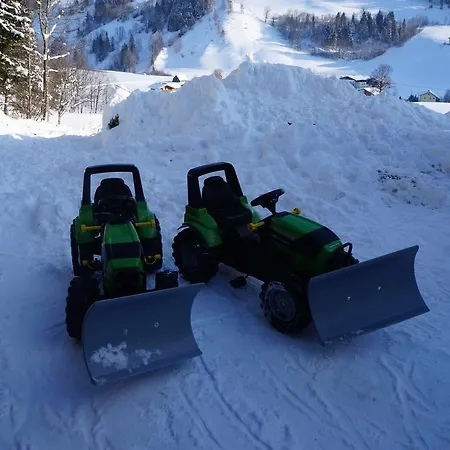 Schaubensteiner *