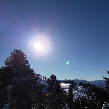 Schaubensteiner