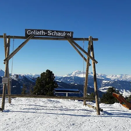 Schaubensteiner *